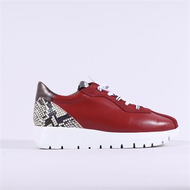 Wonders Odisei Bungee Lace SnakeTrainer - Red Snake